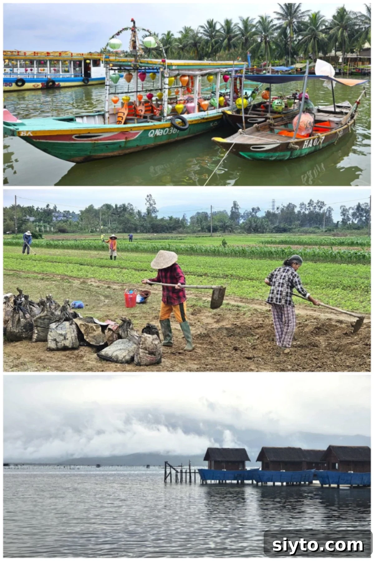 3 photo collage, top: lantern boats in Hoi An. middle: working in the fields. bottom: oyster huts in Central Vietnam.