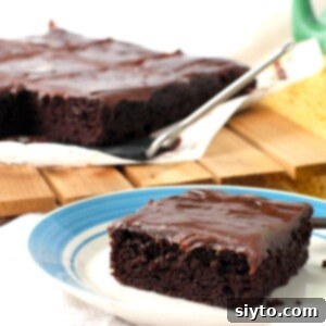 Thumbnail photo of a square of rich red wine chocolate cake on a blue-rimmed plate, with more cake on parchment paper in the background.
