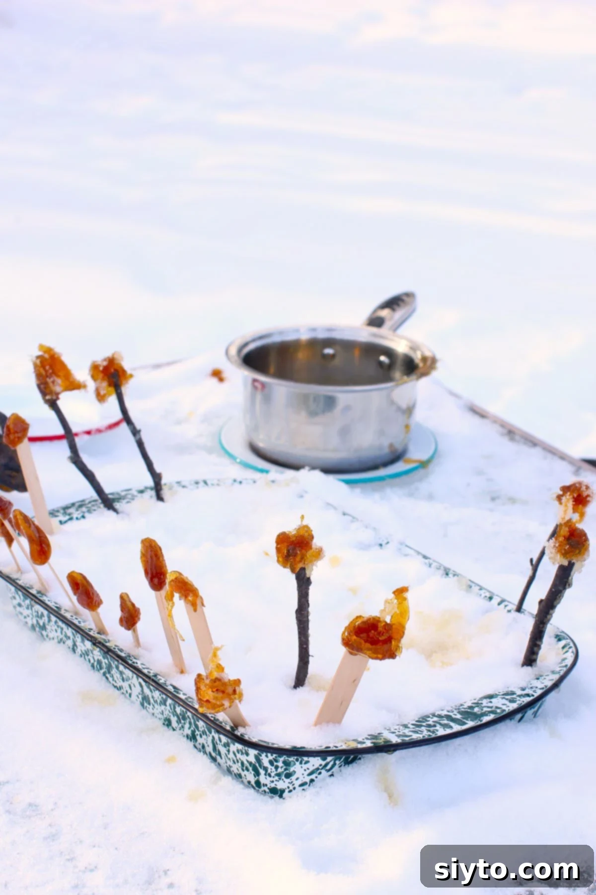 Pan full of snow with several maple syrup snow candy lollipops stuck into the snow, sitting outside on a snowy table. A pot with more maple syrup is blurred in the background.