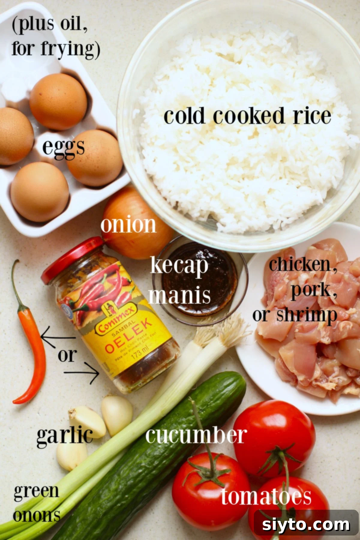 Indonesian Fried Rice Nasi Goreng 3 labeled ingredients needed to make Nasi Goreng.