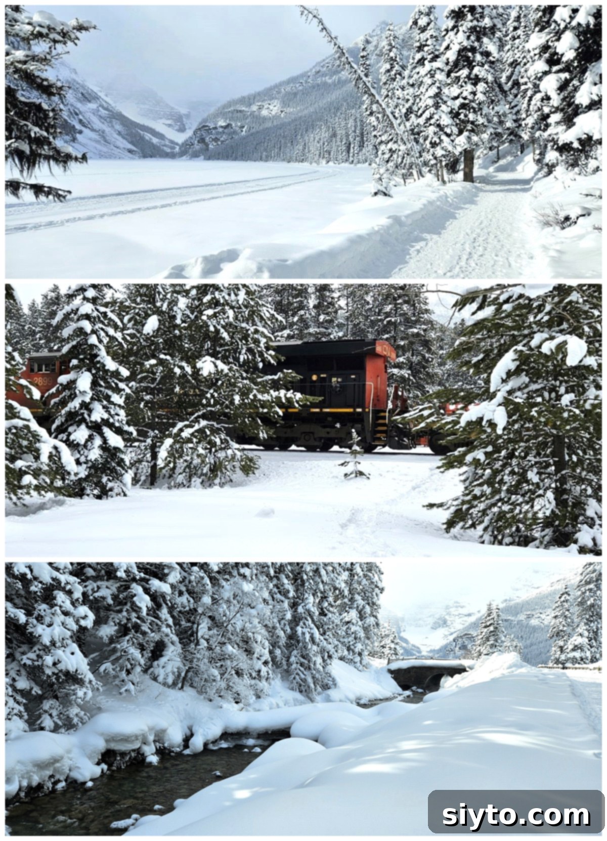 Sweet Bites Snowy Sleds: Lake Louise Adventures 3 A three-photo collage showcasing beautiful snow scenes around Lake Louise: top image shows a walking path beside the frozen lake, the middle image features a CN train winding through the snowy landscape, and the bottom image captures a clear mountain stream flowing amidst the snow.