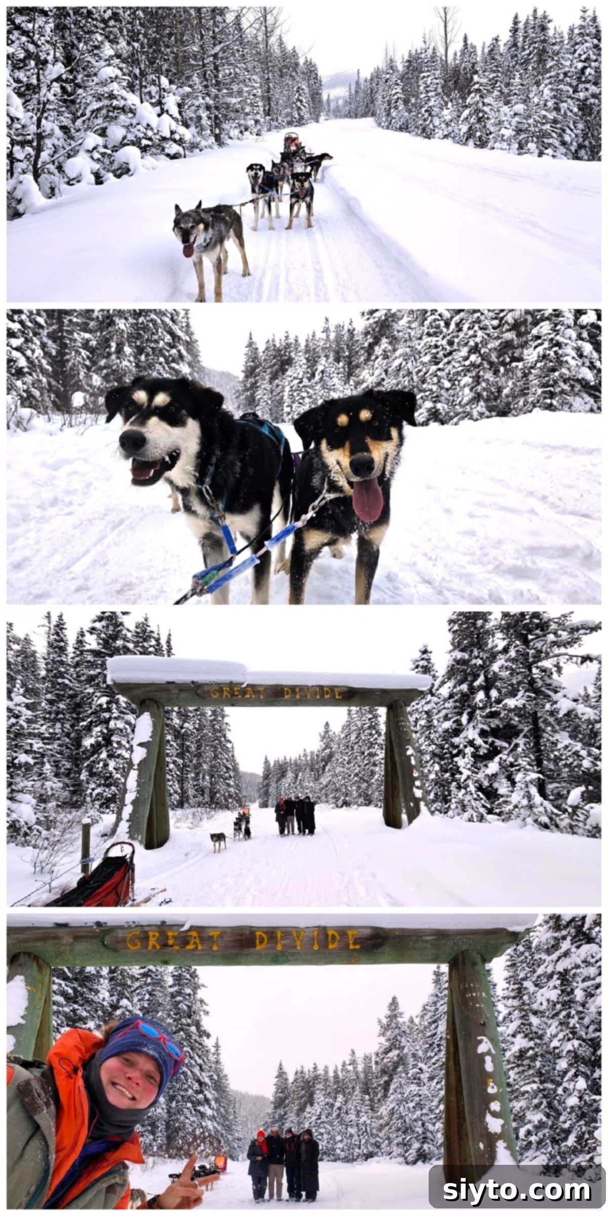 Sweet Bites Snowy Sleds: Lake Louise Adventures 7 A four-photo collage showcasing the dog sledding experience at the Great Divide. Images include the snowy landscape, the dogs resting, and our musher smiling.
