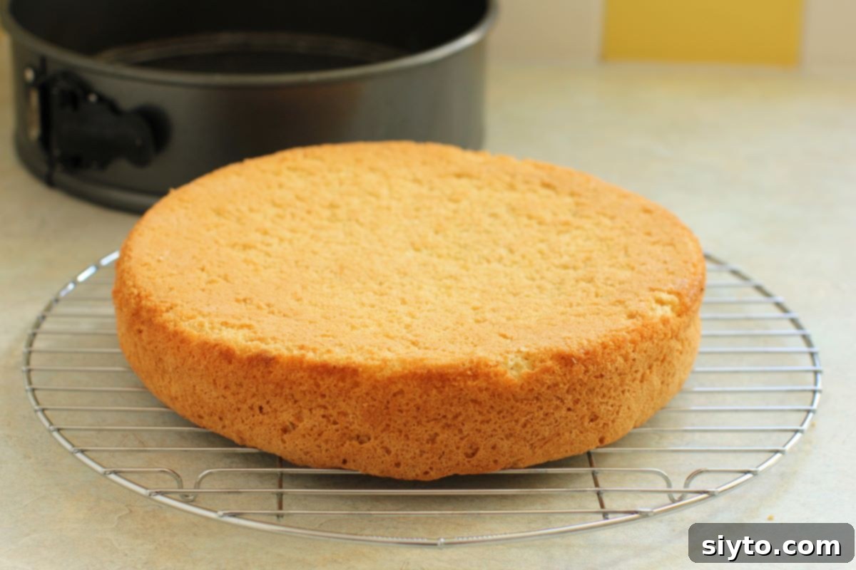 Raspberry Snowballs 6 sponge cake on cooling rack.