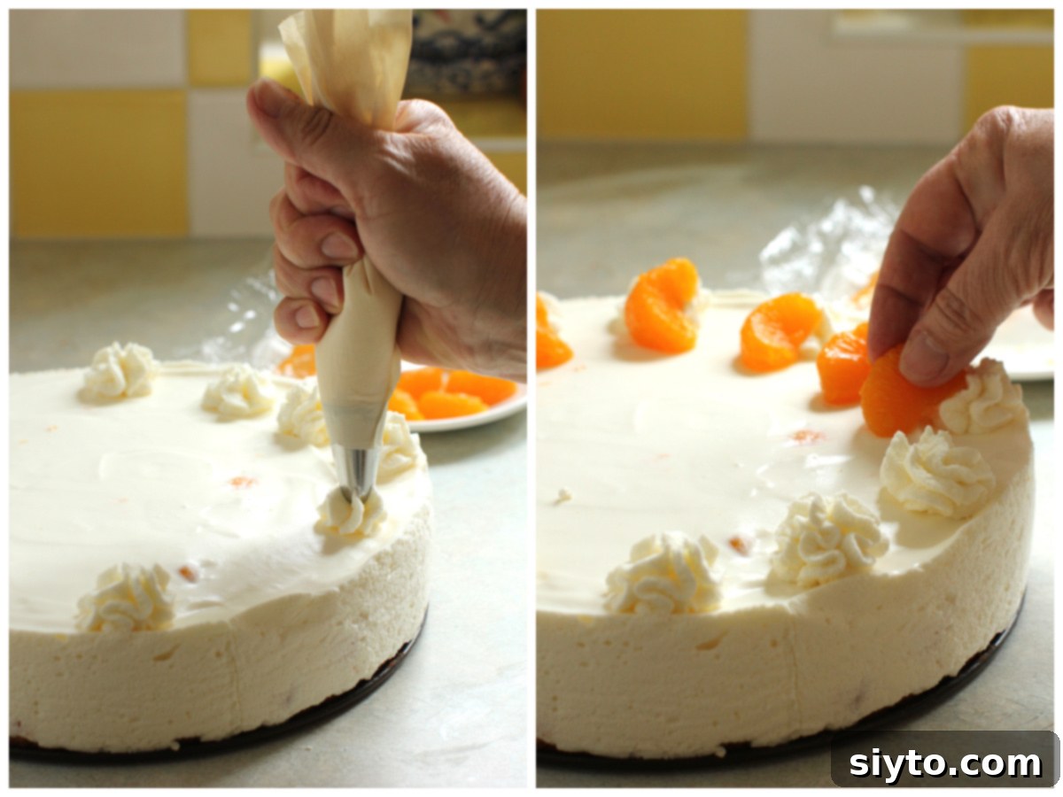 Luscious Mandarin Cream Torte 12 A two-photo collage illustrating the final garnishing steps of the Mandarin Cream Torte. The left image shows 12 delicate rosettes of mousse being piped evenly around the cake's perimeter. The right image depicts a mandarin orange segment being placed atop each piped rosette, completing the elegant decoration.