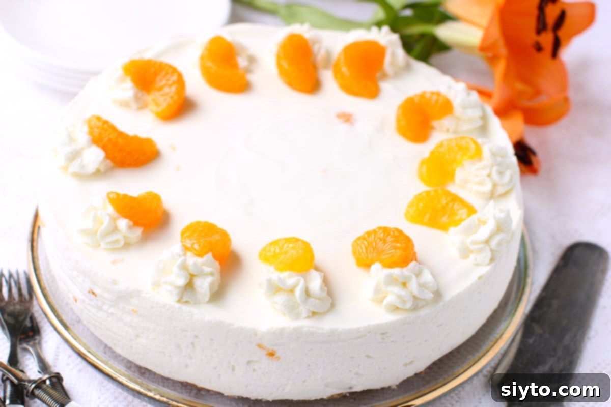 Luscious Mandarin Cream Torte 13 The fully decorated German Mandarin Cream Torte (Mandarinen Sahnetorte) is showcased, ready to be sliced and served. The vibrant mandarin segments and delicate cream rosettes create an inviting and festive display, promising a delicious dessert experience.