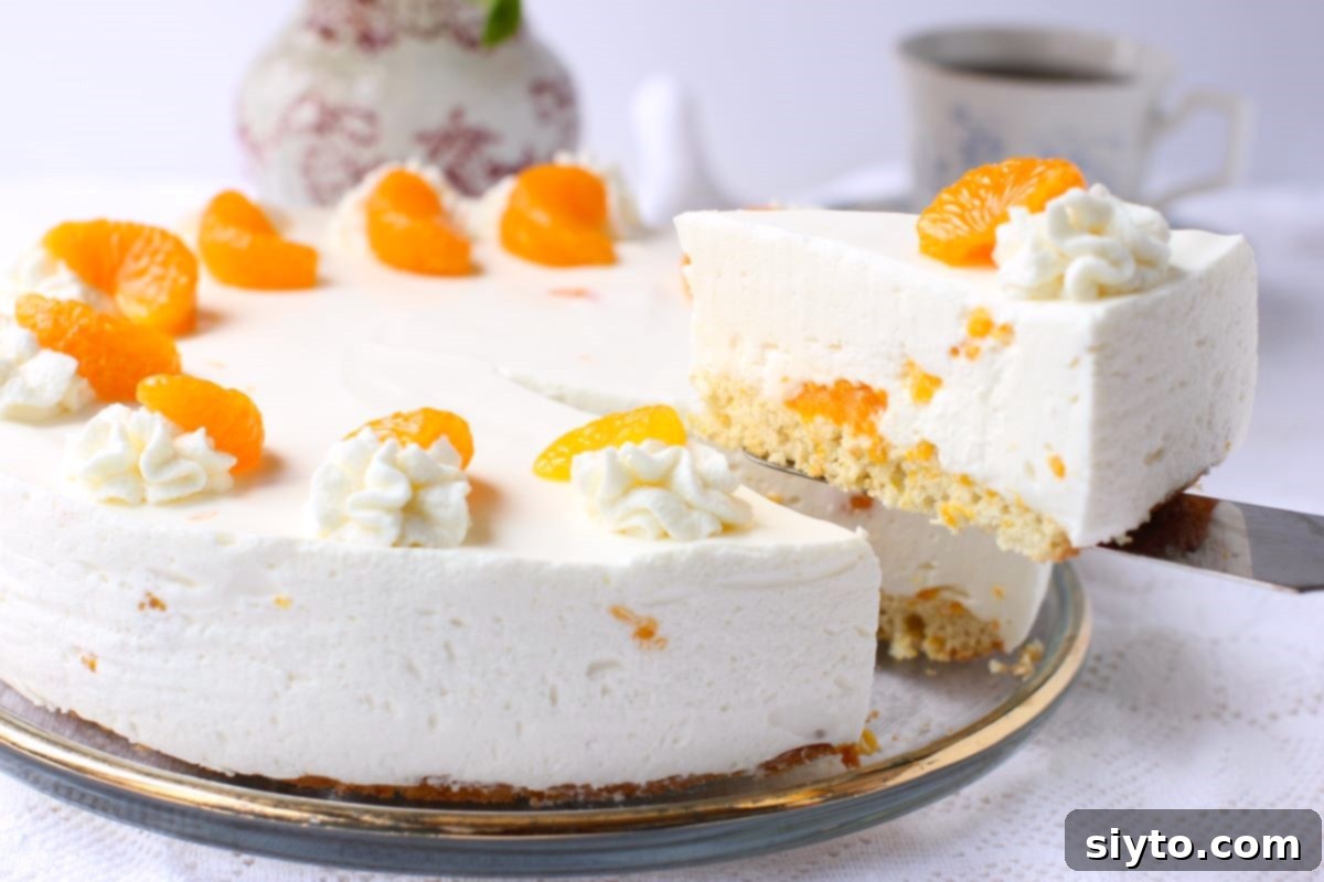 Luscious Mandarin Cream Torte 14 A hand is gently lifting a perfect slice of the German Mandarin Cream Torte (Mandarinen Sahnetorte) from the whole cake. The layers of light sponge and creamy mandarin mousse are clearly visible, inviting a taste.