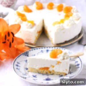 Luscious Mandarin Cream Torte 16 Square photo of slice of mandarin cream torte with cake behind.