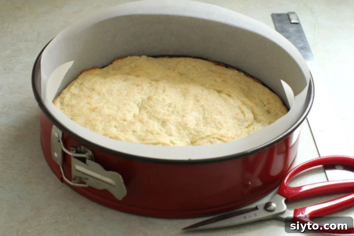 Luscious Mandarin Cream Torte 9 Two long strips of parchment paper carefully lining the inside edge of a springform pan, surrounding the baked sponge cake base. This technique prepares the pan for the creamy filling, ensuring smooth sides and easy removal of the finished torte.