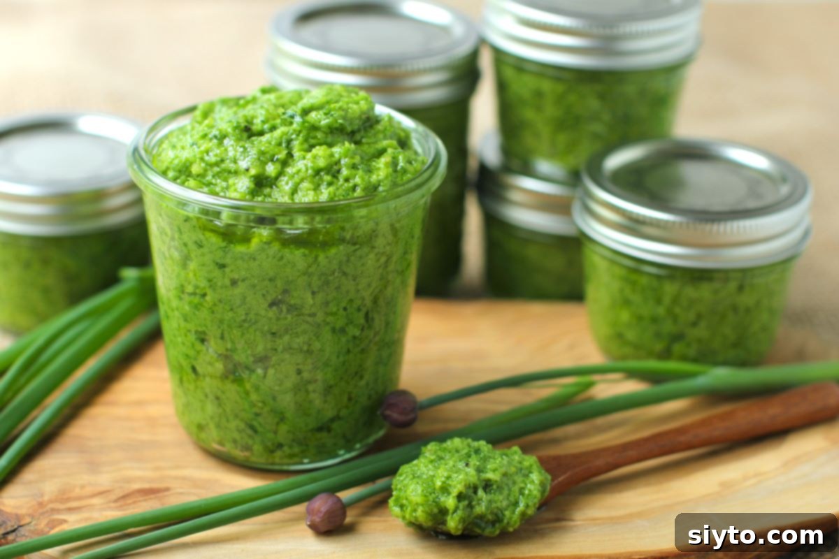 Chive Pesto: A Spring Garden Delight 15 Several glass jars filled with vibrant green chive pesto, topped with a protective layer of olive oil, neatly lined up and ready to be placed into the freezer for long-term storage.