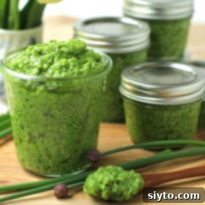 Chive Pesto: A Spring Garden Delight 16 Thumbnail photo of a jar of vibrant green chive pesto with a spoonful in front, neatly presented on a wooden cutting board.