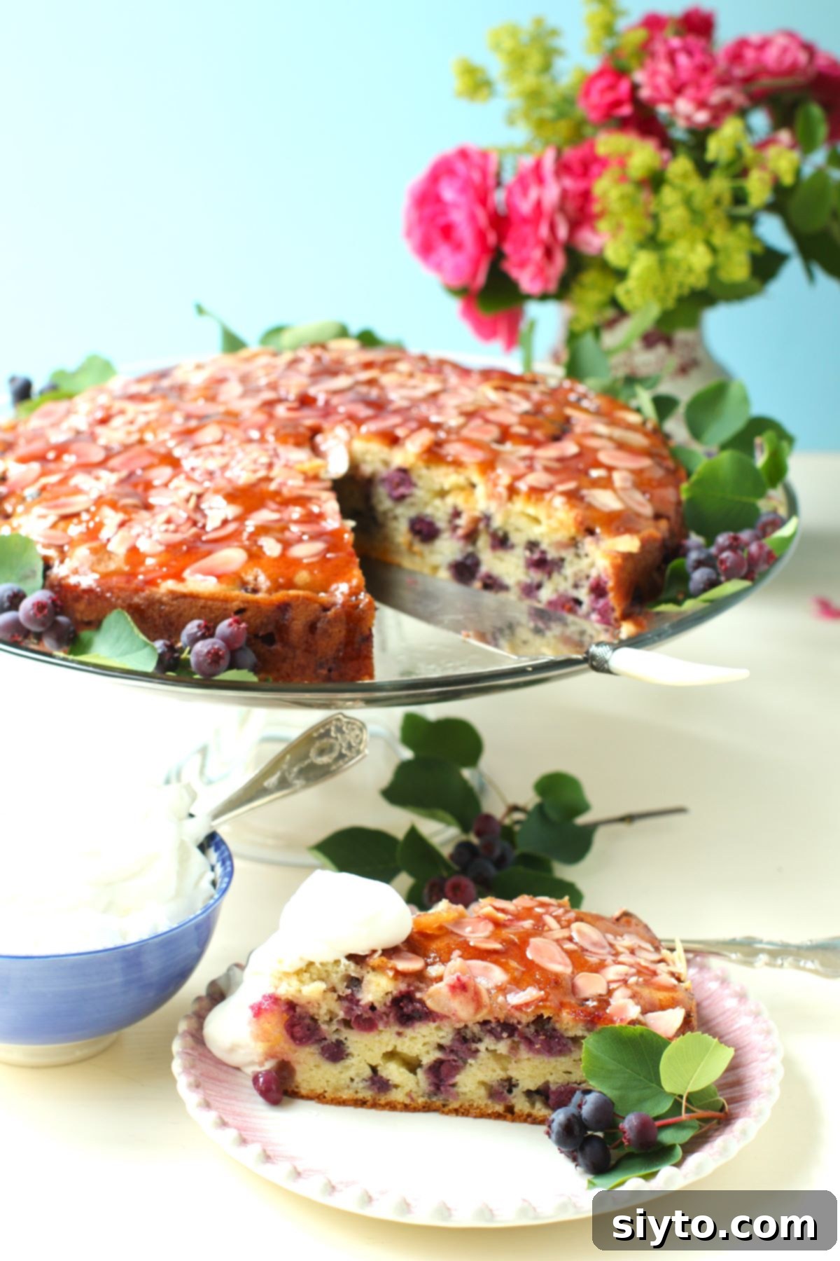 Saskatoon Berry Drizzle Cake 2 A perfectly sliced piece of Saskatoon Drizzle Cake with a luscious red jelly glaze on top, presented on a white plate in front of the whole cake, which rests on a elegant glass cake stand. Fresh saskatoon berries are scattered around the base of the stand, highlighting the cake's key ingredient.