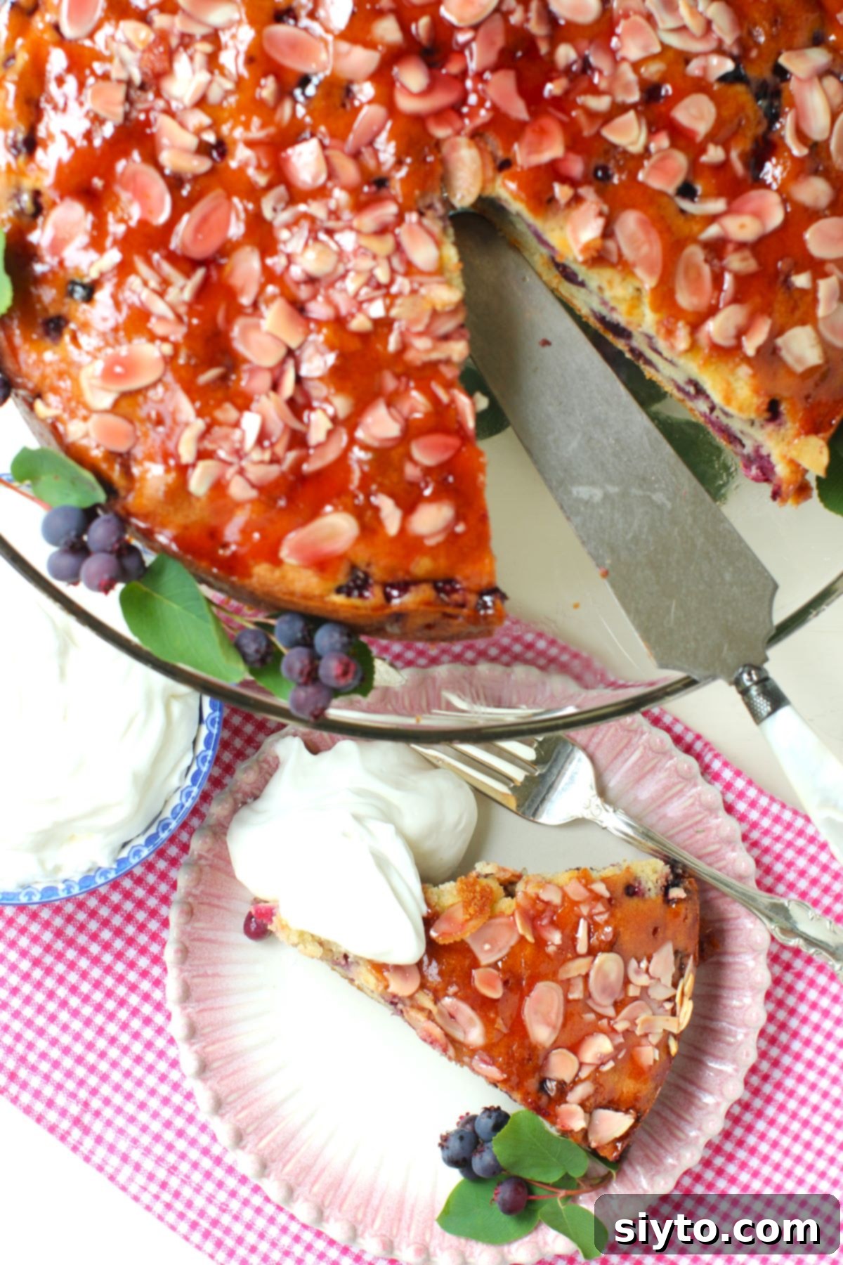 Saskatoon Berry Drizzle Cake 11 A top-down view of a beautifully glazed Saskatoon Drizzle Cake, with a perfect slice removed and placed on a small white plate beside it. The cake's top is glistening with red jelly and studded with sliced almonds, highlighting its moist and appealing texture.