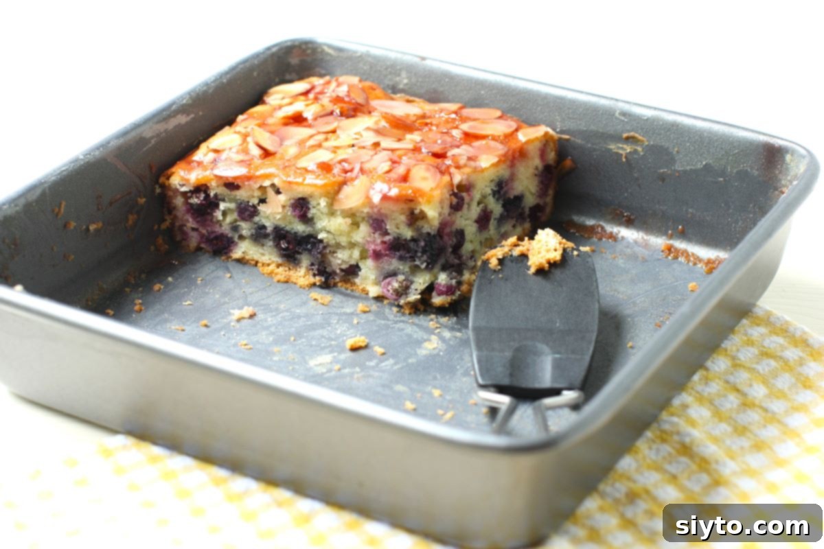 Saskatoon Berry Drizzle Cake 12 A partial view of a Saskatoon Drizzle Cake, with only about a quarter remaining, still sitting in its square baking pan. The remaining cake clearly shows the luscious jelly glaze and visible saskatoon berries, indicating how quickly this delicious cake is enjoyed.