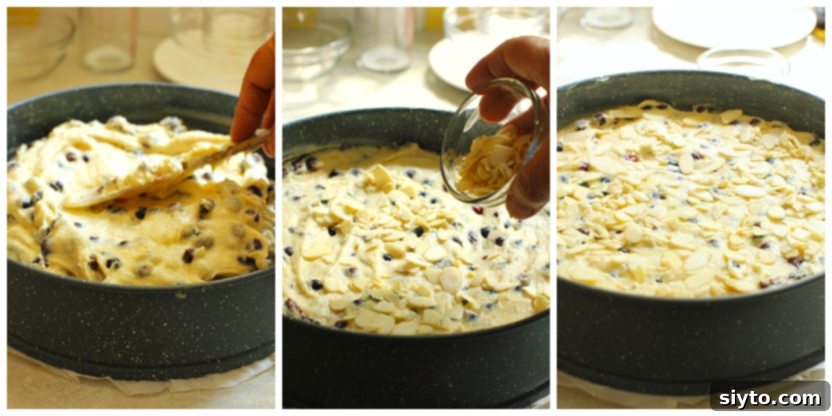 Saskatoon Berry Drizzle Cake 9 A three-photo collage demonstrating the final stages of preparing the Saskatoon Drizzle Cake for baking. The left image shows the cake batter being spread evenly into a parchment-lined springform pan. The middle image features sliced almonds being sprinkled over the top of the batter. The right image displays the pan, with batter and almonds, ready to be placed into the oven.