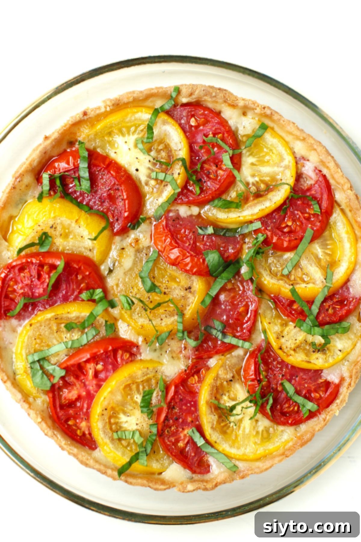 Rustic Tomato Tart 13 The vibrant tomato tart, freshly baked from the oven and garnished with a sprinkling of bright green fresh basil.