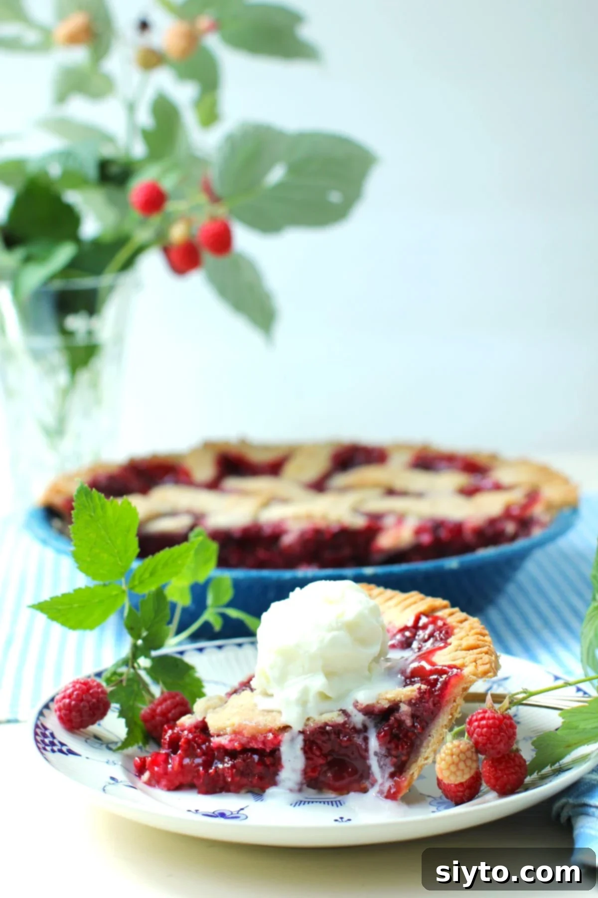 A slice of raspberry pie with a scoop of ice cream melting over it, ready to be enjoyed.