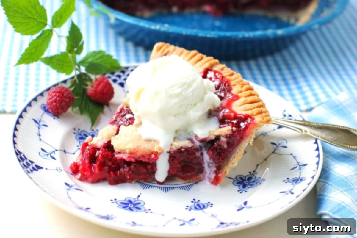 slice of raspberry pie with a scoop of ice cream melting on top of it. A perfect summer dessert.