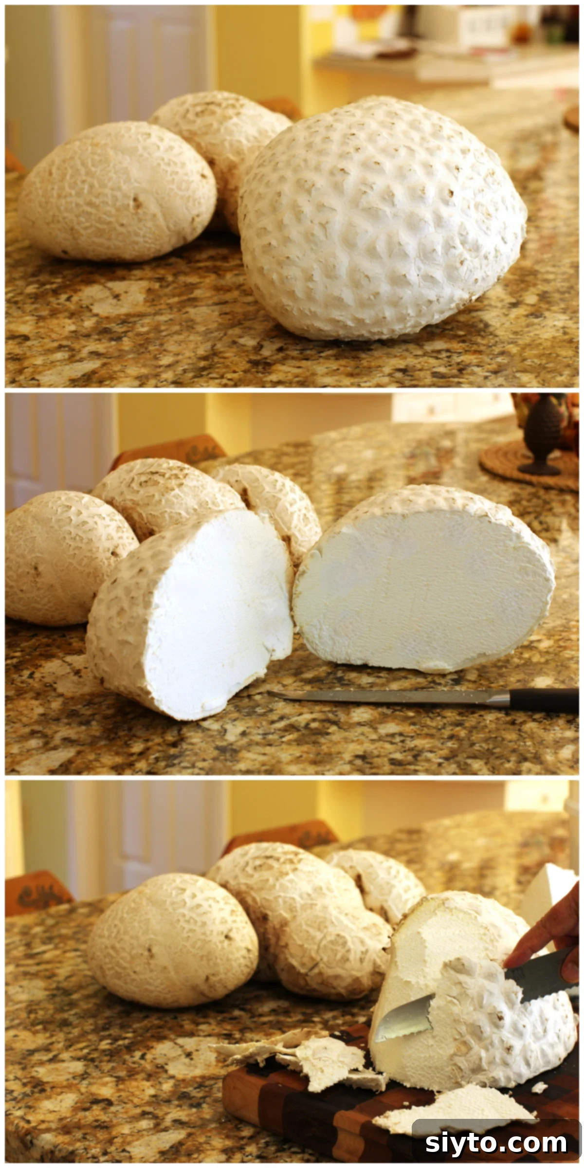 3 photo collage of Giant Puffball. Top, Big one on counter, middle, cut open to show evenly white insides, bottom, cutting off peel.