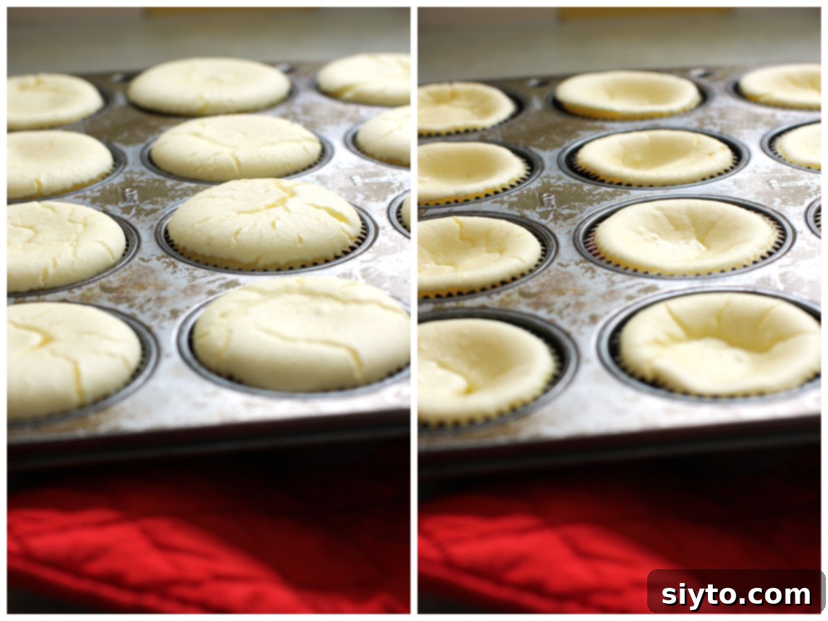A two-photo collage showing cheesecake cupcakes: on the left, freshly baked and puffed up with cracks; on the right, cooled and beautifully deflated, ready for topping.
