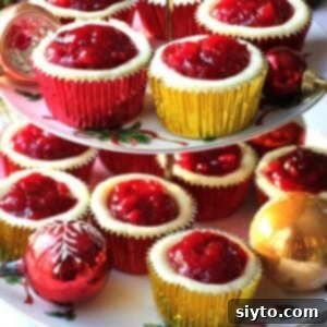 Thumbnail image of two-tiered serving plate displaying delicious cheesecake cupcakes, each topped with cranberry orange compote.
