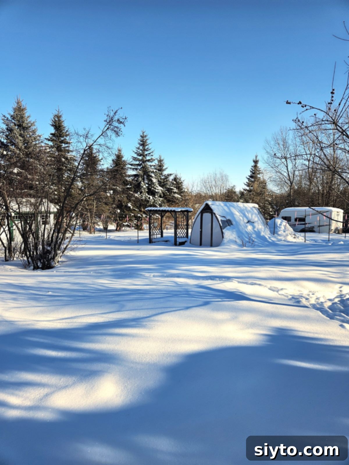 A garden covered in a thick layer of snow, with a greenhouse in the background.