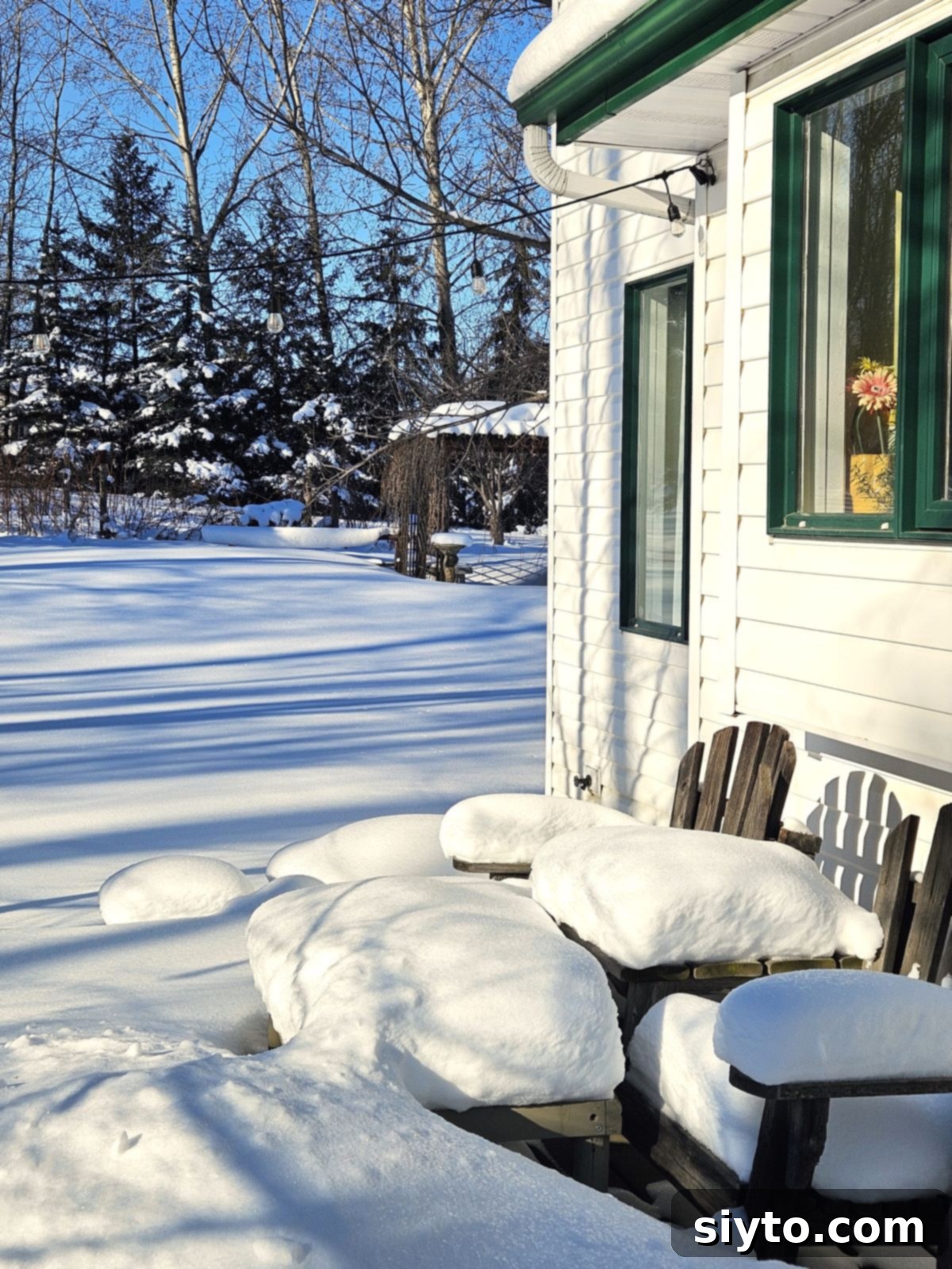 A vast, unbroken landscape covered entirely in snow, evoking a 'marshmallow world'.