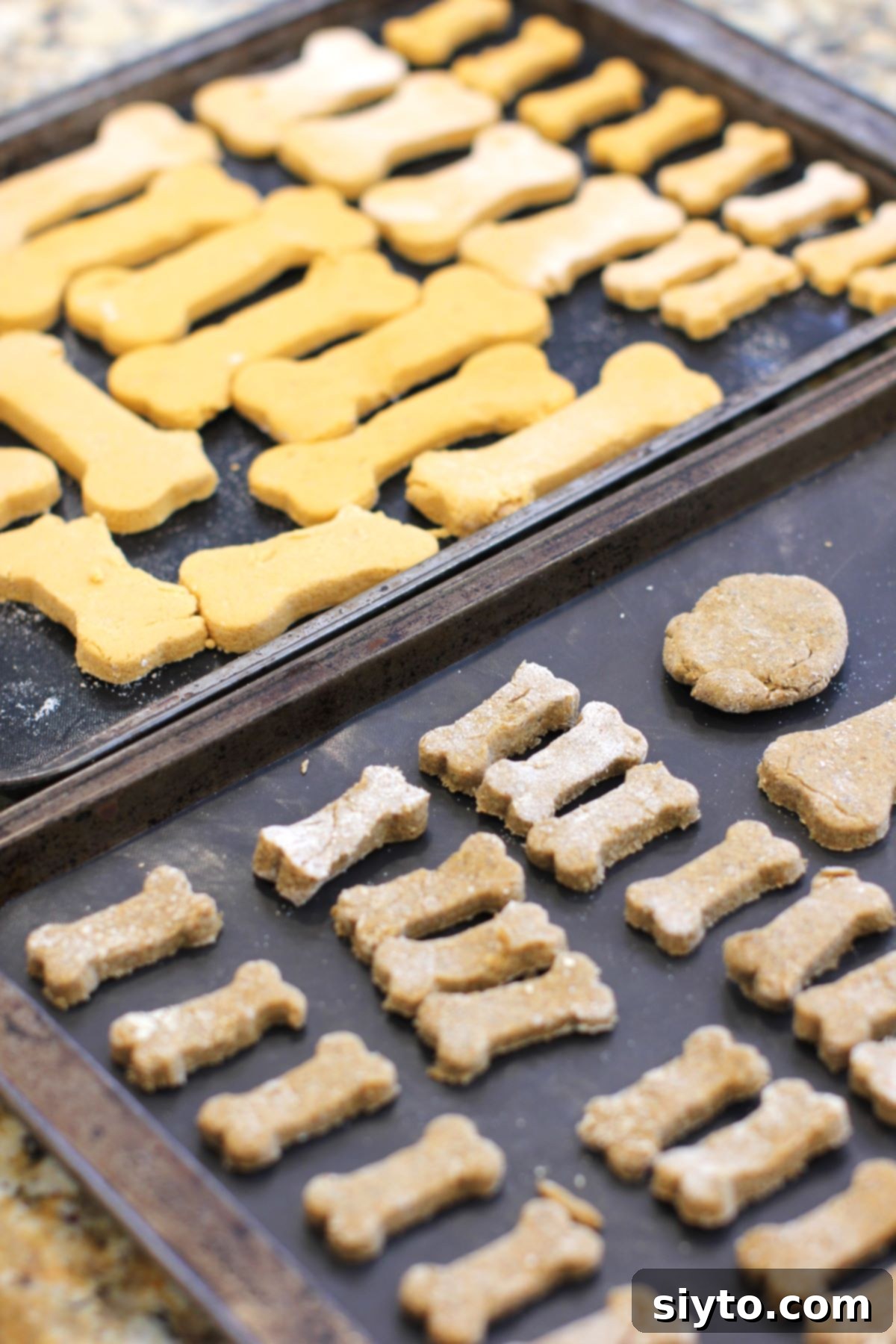 Two baking sheets neatly filled with raw, cut-out 2-ingredient dog treats, ready to be placed into the oven for baking.