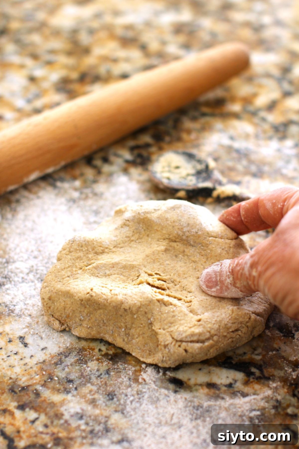 A perfectly formed ball of 2-ingredient dog treat dough resting on a clean kitchen counter, showcasing its smooth, pliable texture.