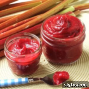 Square photo of two jars of rhubarb butter with a spoonful of it laying in front.