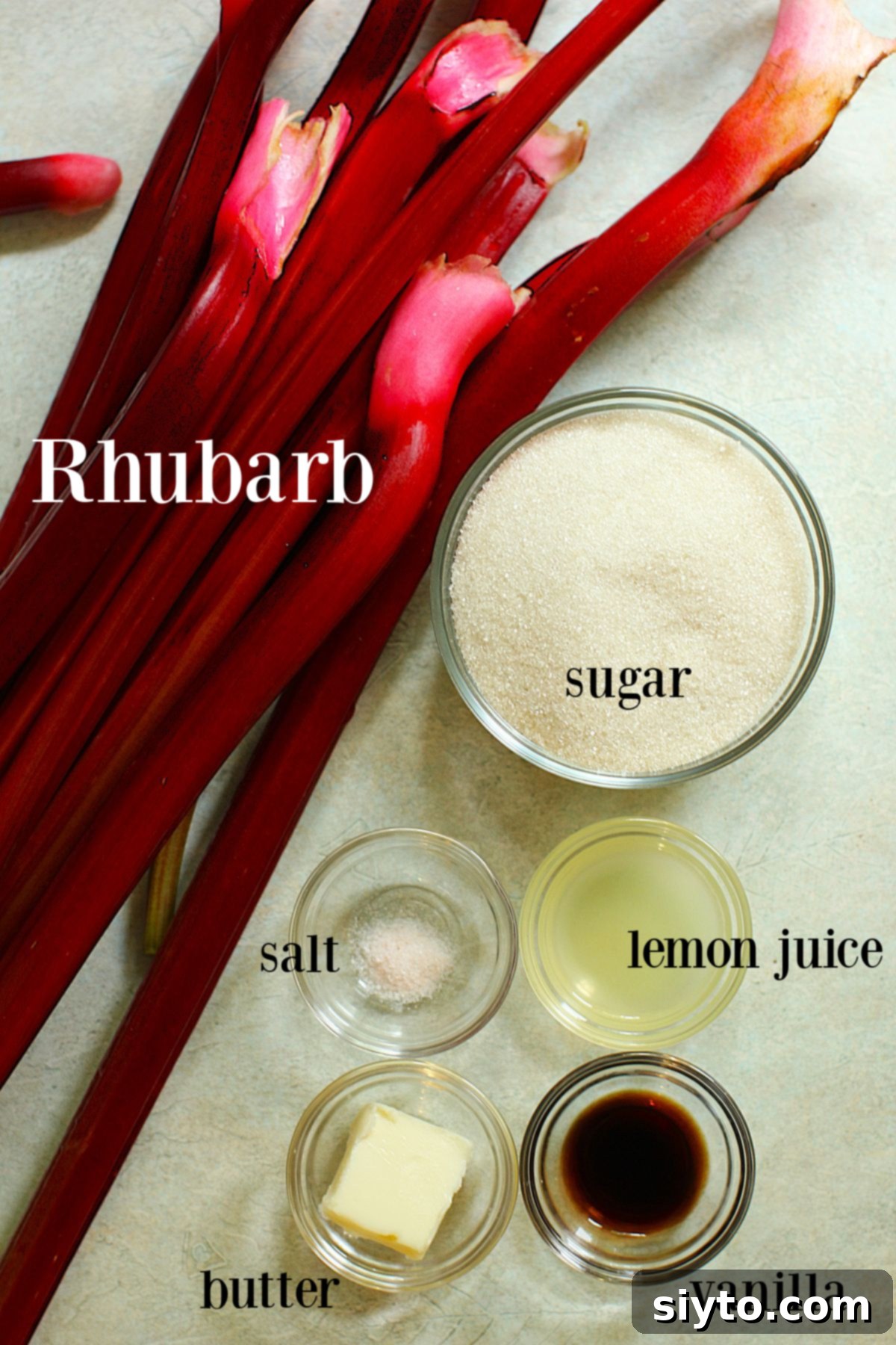 A collection of ingredients neatly arranged on a countertop, ready for making rhubarb butter. Freshly cut rhubarb pieces are prominent, alongside bowls of sugar, a lemon, a stick of butter, and a bottle of vanilla extract.