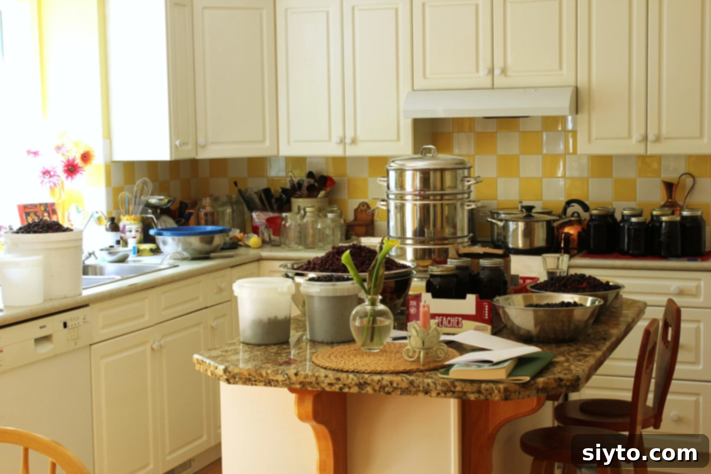 A photo of my messy kitchen in the midst of saskatoon processing.