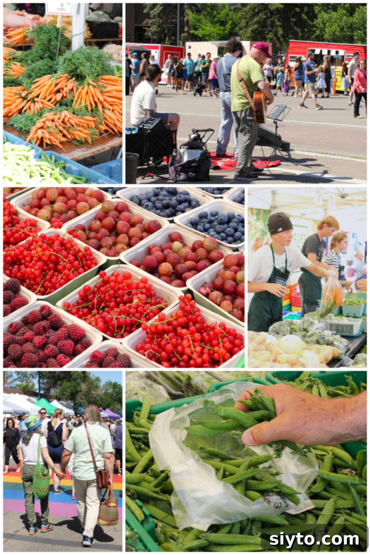 A vibrant collage depicting various scenes from a farmers' market, showcasing colorful produce, happy shoppers, and an energetic atmosphere.
