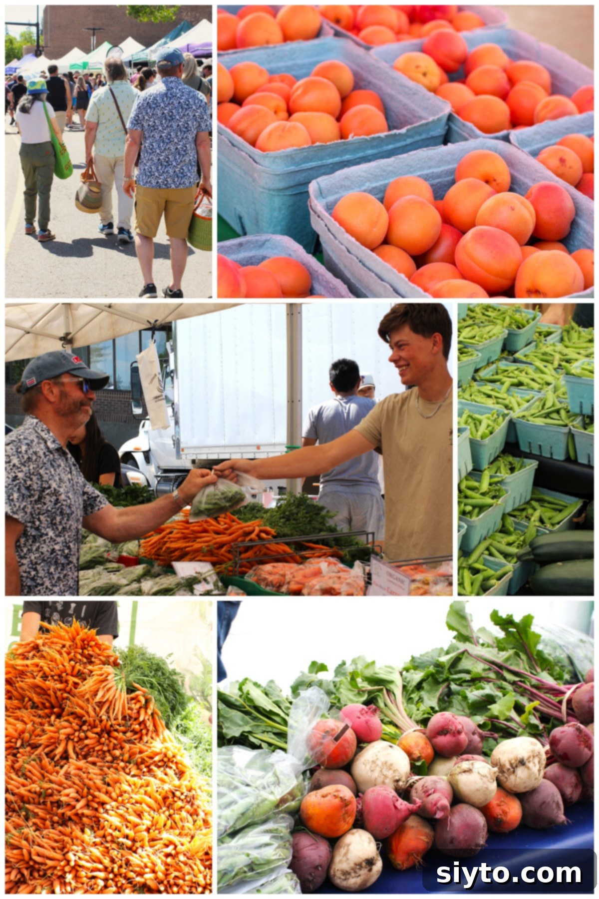 A vibrant farmer's market collage featuring close-ups of juicy apricots, fresh green peas, colorful carrots and beets, and a friendly vendor selling peas.