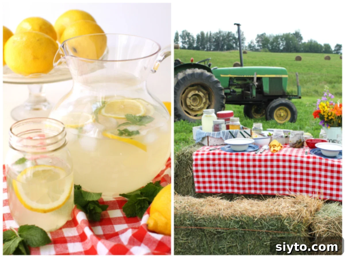 Sunshine and Lemonade Picnics 2 Two photo collage. Left, pitcher of fresh lemonade with drinking jar of it beside it. Right, picnic table set on red checked cloth on hay bales in field. Green tractor behind it.
