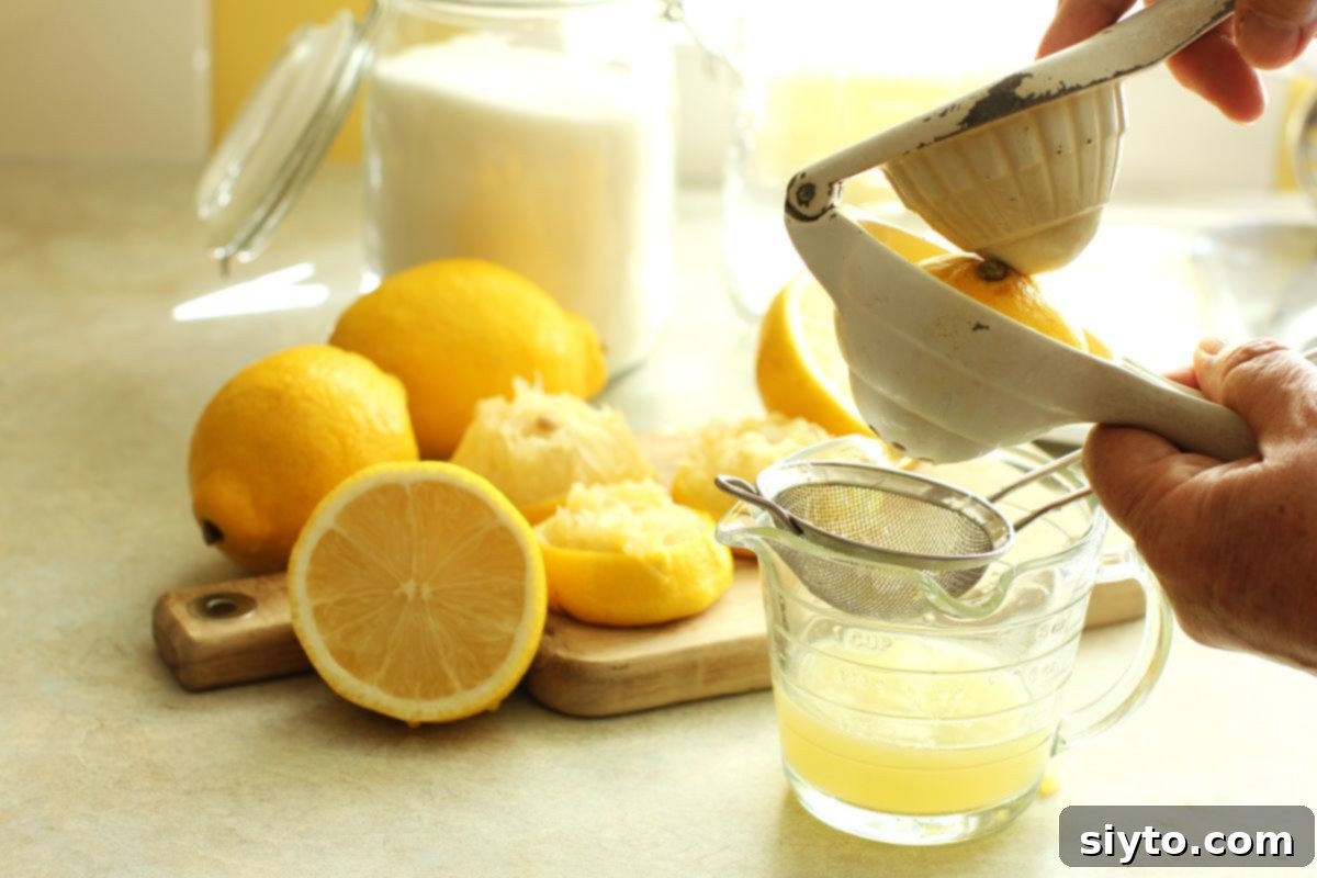 Sunshine and Lemonade Picnics 11 hands squeezing a lemon press with a lemon half in it, lemons and sugar in background.