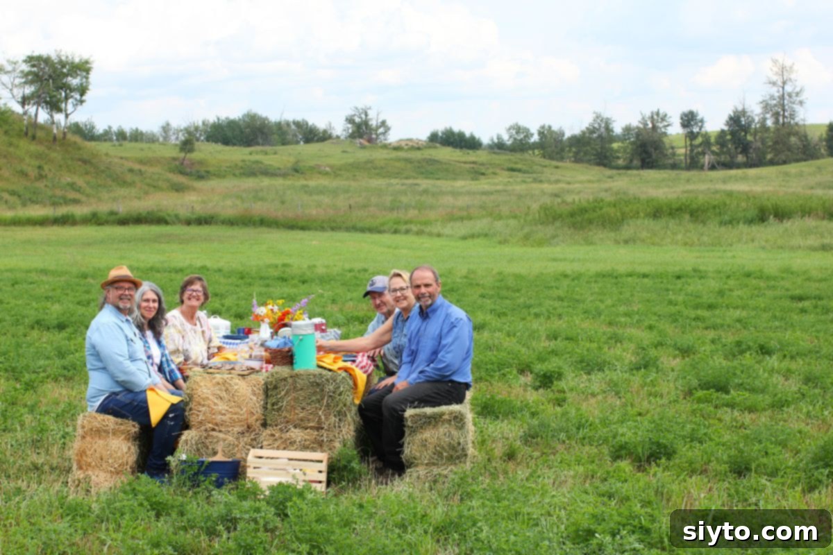 Sunshine and Lemonade Picnics 13 6 of us sitting on bales and enjoying our country picnic.
