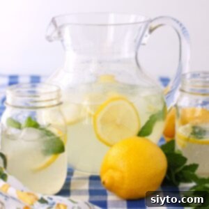 Sunshine and Lemonade Picnics 12 Thumbnail of a pitcher of lemonade and two mason jars of it, on a blue-checked cloth.