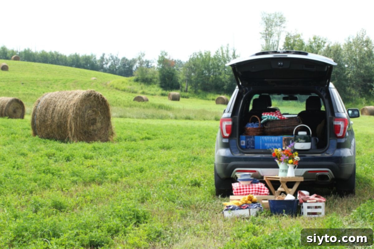 Sunshine and Lemonade Picnics 5 The back of the vehicle is open with picnic stuff inside it and on the ground behind it.