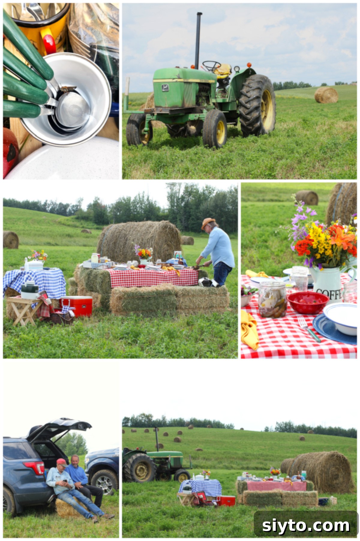 Sunshine and Lemonade Picnics 6 Collage of assorted photos of the country picnic.