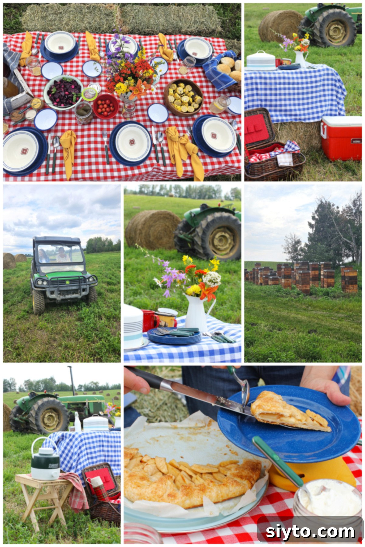 Sunshine and Lemonade Picnics 7 Collage of photos of our country picnic, including a shot of the top of the table, the side-by-side, and bee boxes.