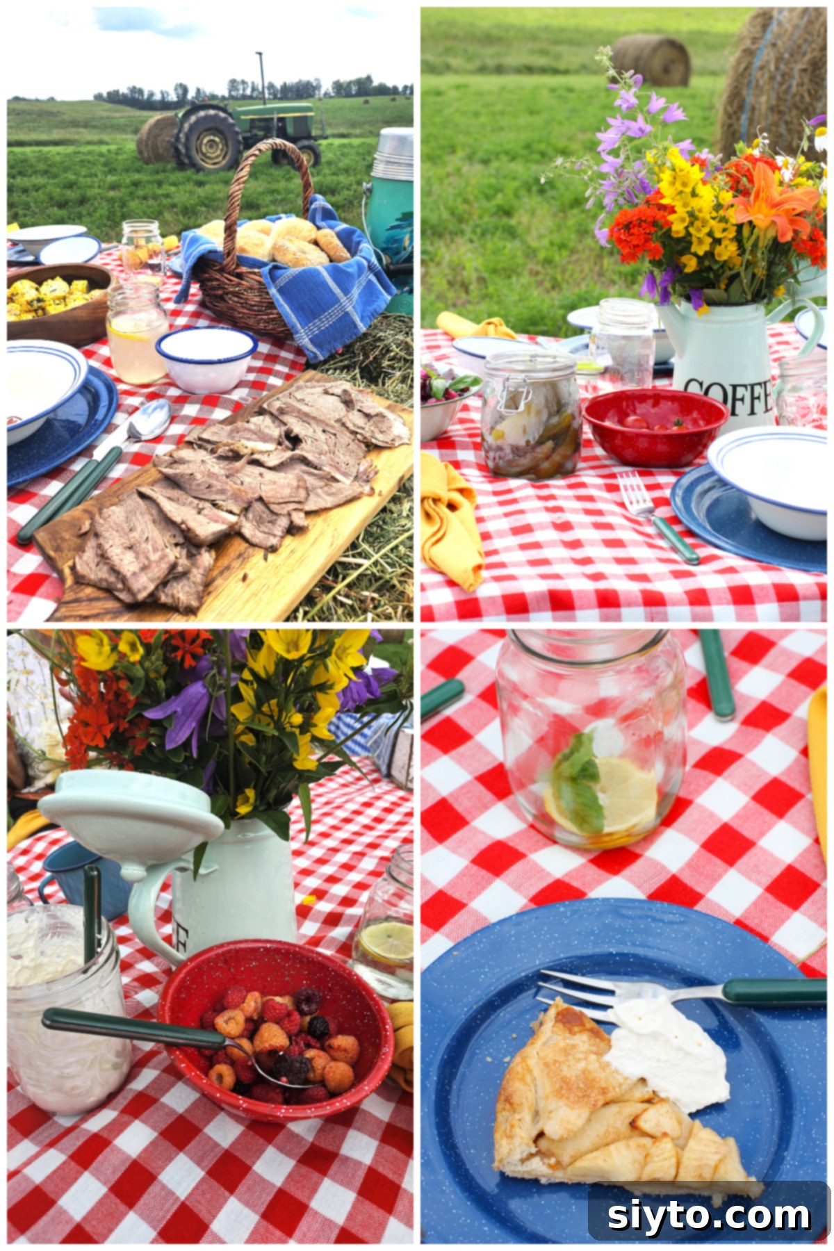Sunshine and Lemonade Picnics 9 4 photo collage of country picnic food. top left: cold roast beef slices, top right : dill pickles and cherry tomatoes. bottom left: raspberries and whipped cream. bottom right: apple galette on plate.