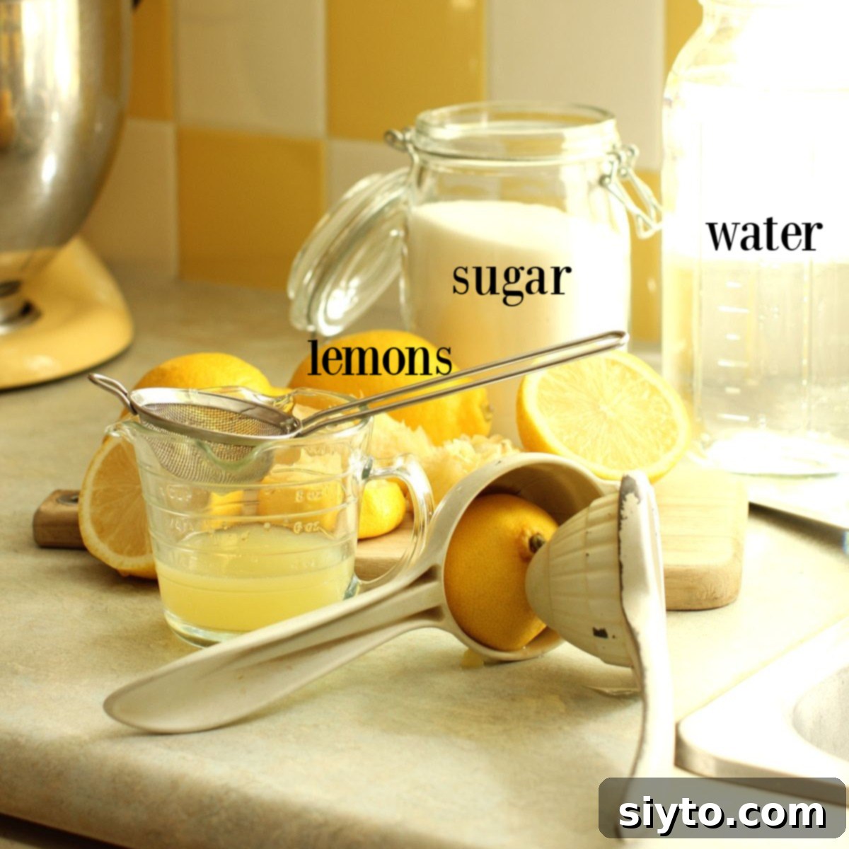 Sunshine and Lemonade Picnics 10 labeled ingredients for fresh lemonade on counter.