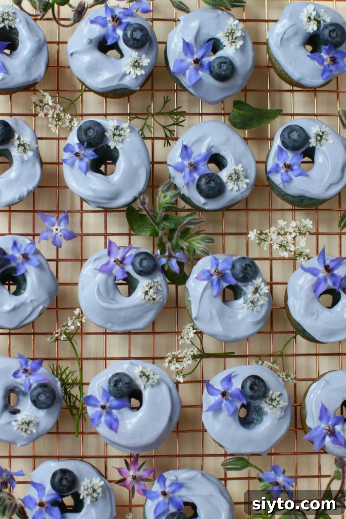 A charming arrangement of mini blue donuts in a grid pattern on a copper cooling rack, beautifully garnished with fresh borage flowers and cilantro blossoms.
