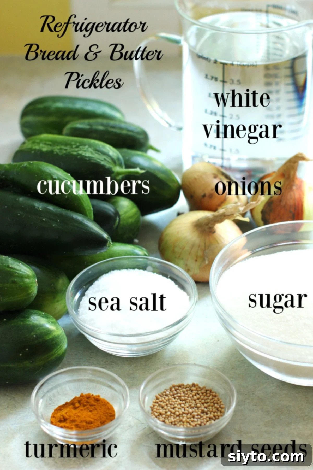 Labeled ingredients needed for refrigerator bread & butter pickles.