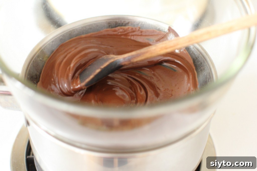 Chocolate Apricot Kisses 2 Smoothly melted dark chocolate, ready for dipping.