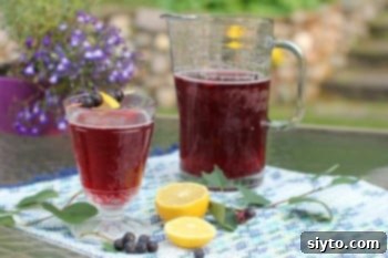 Saskatoon Juice: Effortless Berry Cleaning 2 Glass of saskatoon juice with fresh berries