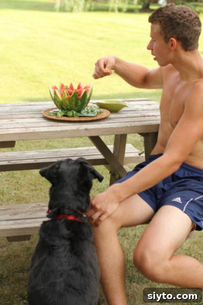 Pippa, a cute dog, looking longingly at a bowl of watermelon salsa