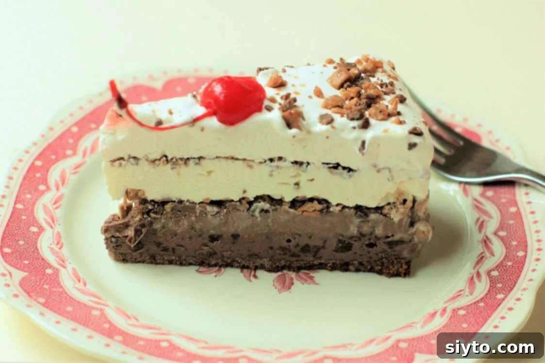 A single slice of homemade ice cream cake presented beautifully on a white plate, showing the distinct layers and inviting texture.