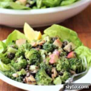 Broccoli Lentil Salad Bringing Spring Freshness to Winter 2 Broccoli Lentil Salad Thumbnail